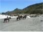 horse riding at beach near pancake rocks