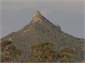 Climb Toka Toka peak, view Dargaville