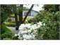 garden views