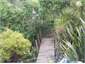 View from kitchen window