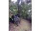 Queen Charlotte Track