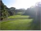 14th at TGC
