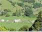 View of farm land from Garden