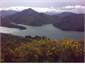 Queen Charlotte View
