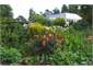 Summer herbaceous border