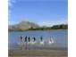 safe swimming in Uawa river