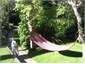Shady Area