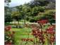 View of Grounds
