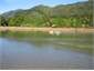 Canoeing on the Inlet