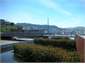 Waitangi Park and harbour looking to the city