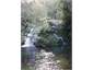 The waterhole