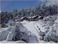 big snow day