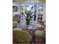 Kitchen dining flows to outdoors