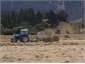 Making hay - while sun is shining.