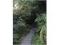 The Zig Zag Track opposite to Titirangi Beach