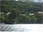 View across to house from Acacia Bay point