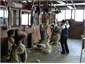 New Zealand Sheep Shearing