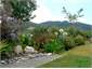 Garden from deck