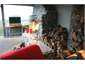 Outdoor Open Fire