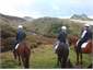 Farewell Spit & Horse-treks 10 minutes north.