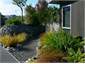 Garden path