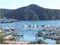 Picton Harbour