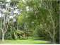 The grounds at Bush Cottage