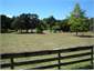 View from the verandah