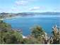 Kuaotunu bay