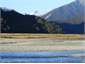 Mount Ward from Haast River valley