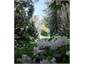 Wander through the wilderness garden