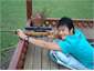 Target Shooting at Aoraki Cottage