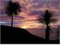 Piha Lodge a pink sunset