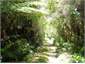 13 hectares of amazing bush trails