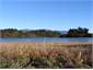 Stroll past the estuary to the beach & golf course