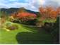 Handward Garden - Autumn Colours