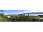 Panoramic view from top of hill