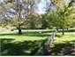 The 'Horse Paddock'