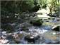 The Waipati River runs through the property