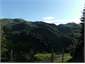 Farm views