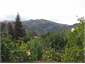 View from kitchen