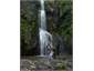 Family visit at Kitekite Falls