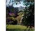 View of Okains Peak from garden