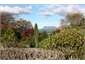 Waitangi Loft gardens