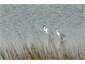 Spectacular wildlife sanctuary