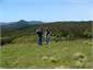 Sight seeing from the top of the farm