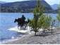 Wanaka Beach