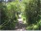 Walkway to beach
