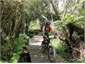 Waikato River Trails