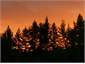 Sunset at Bush Cottage